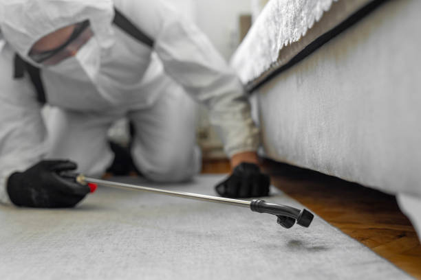 Professional Bed Bug Control technician working in Sierra County County, CA